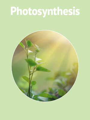 cover image of Photosynthesis